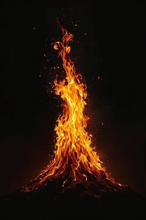 本周爆款 日韩三级毛片